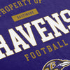 Baltimore Ravens NFL Property Of Beach Towel